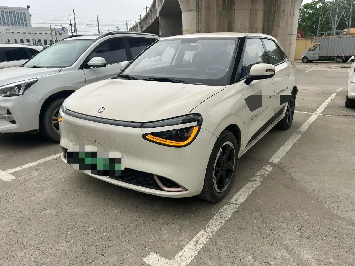 2024 DongFeng Nammi 01 BEV 42.3KWH,autocango,china used car exporter,china ev exporter,chinese used car exporter,chinese used ev exporter