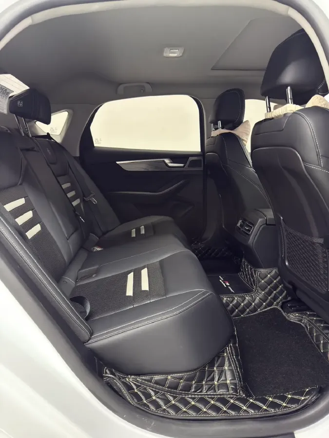 2019 BYD Qin Pro BEV 56.4KWH,autocango,china used car exporter,china ev exporter,chinese used car exporter,chinese used ev exporter