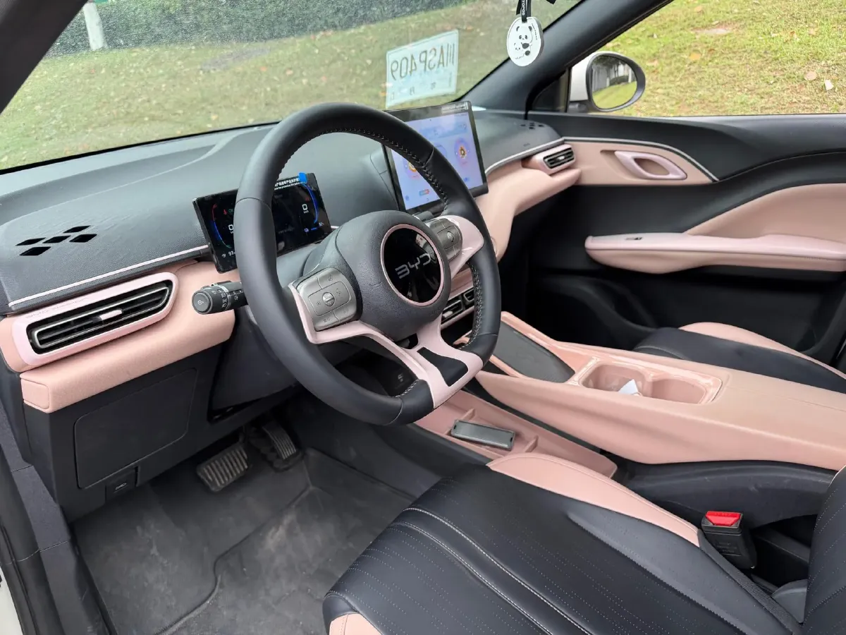 2025 BYD Seagull BEV 30.08KWH,autocango,china used car exporter,china ev exporter,chinese used car exporter,chinese used ev exporter