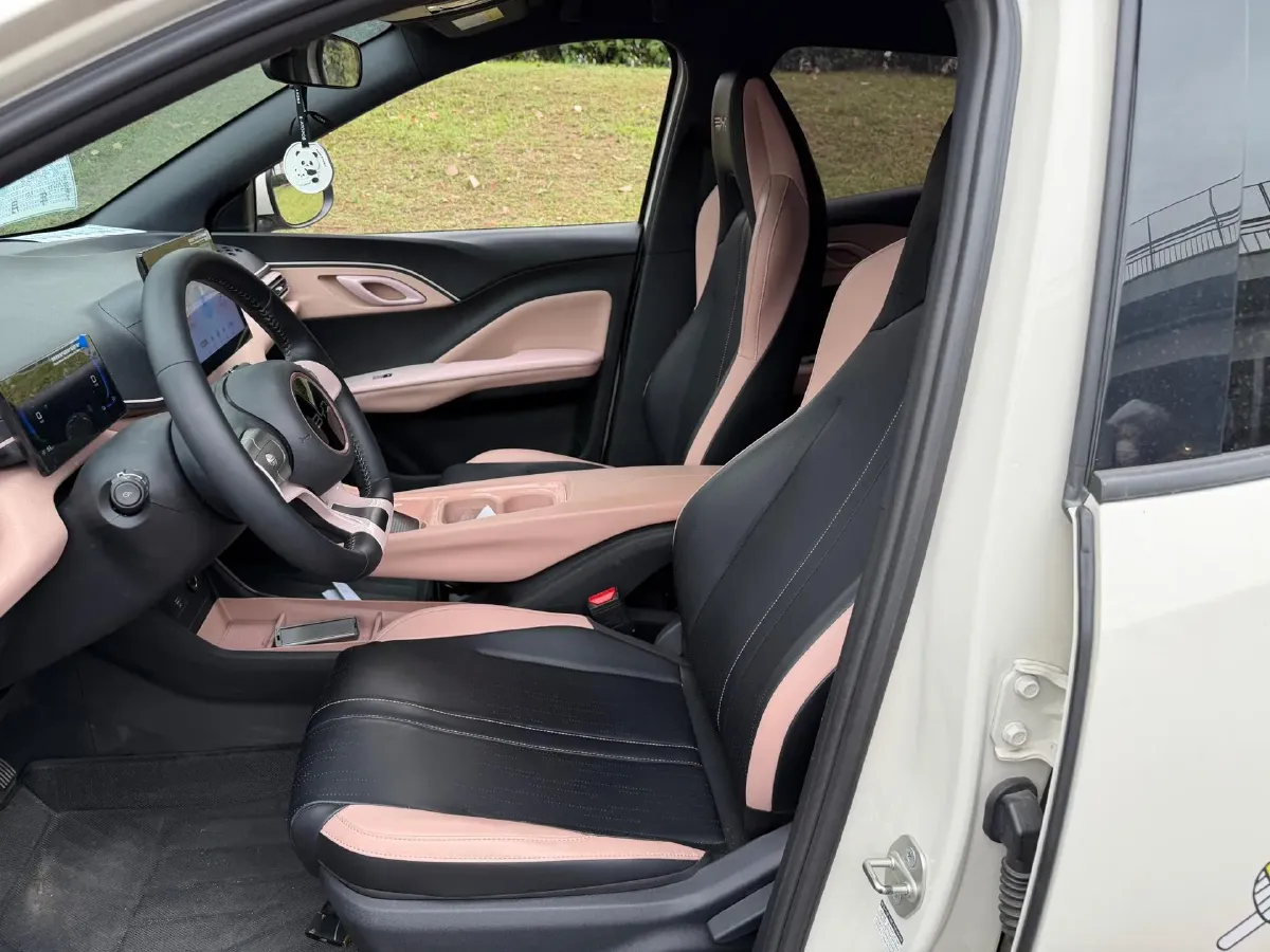 2025 BYD Seagull BEV 30.08KWH,autocango,china used car exporter,china ev exporter,chinese used car exporter,chinese used ev exporter