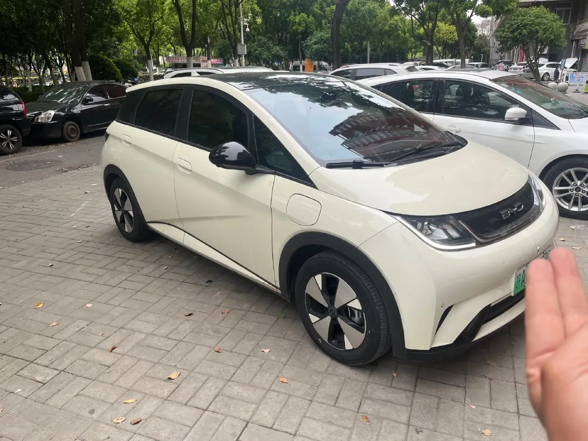 2023 BYD Dolphin BEV 44.928KWH,autocango,china used car exporter,china ev exporter,chinese used car exporter,chinese used ev exporter