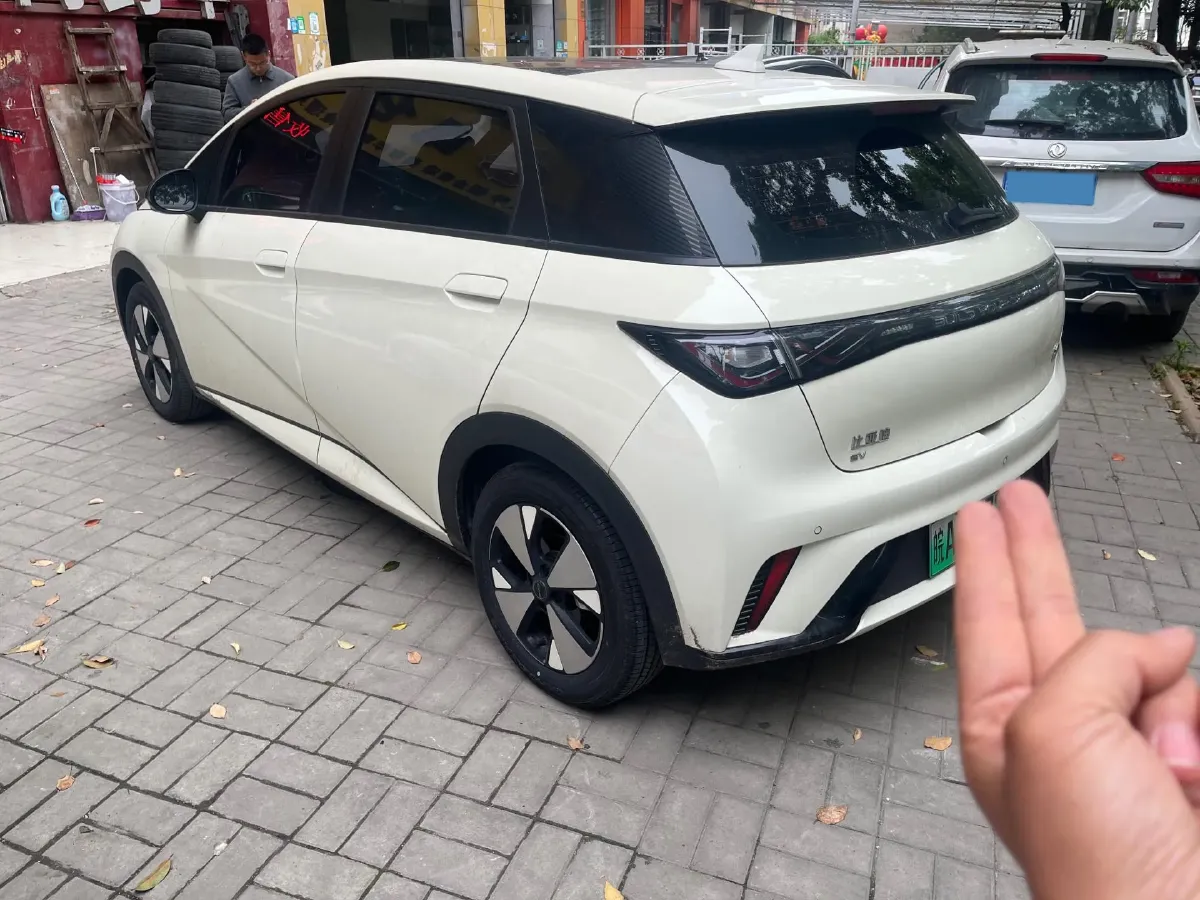 2023 BYD Dolphin BEV 44.928KWH,autocango,china used car exporter,china ev exporter,chinese used car exporter,chinese used ev exporter