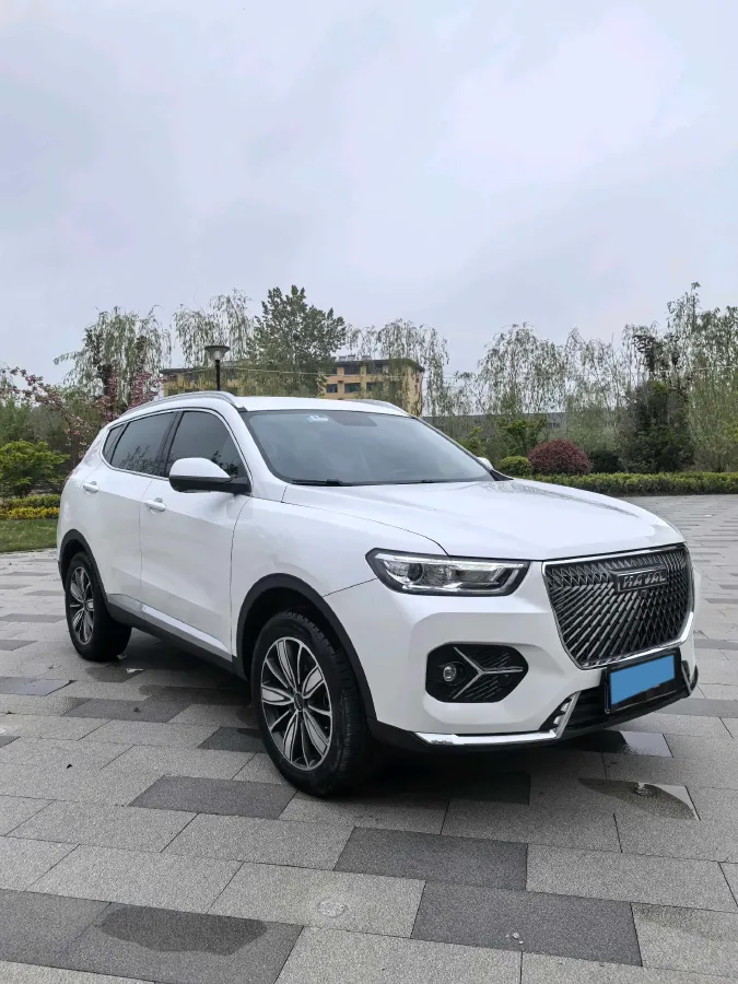 2020 Haval H6 1.5T 169HP L4 7DCT,autocango,china used car exporter,china ev exporter,chinese used car exporter,chinese used ev exporter