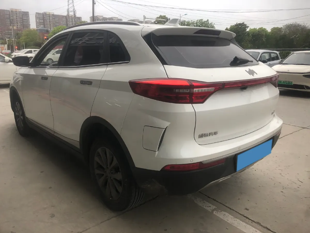 2019 Weltmeister EX5 BEV 56.94KWH,autocango,china used car exporter,china ev exporter,chinese used car exporter,chinese used ev exporter