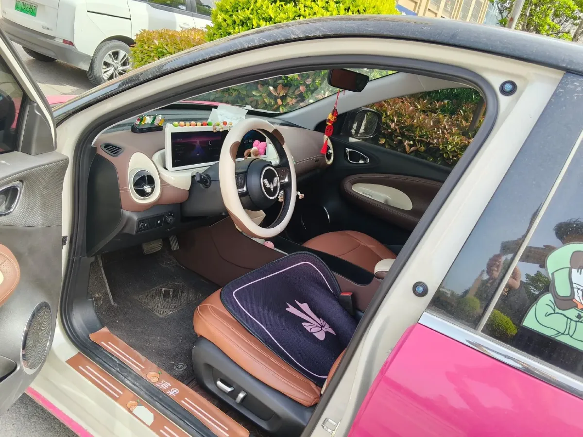 2023 WuLing BinGuo BEV 31.9KWH,autocango,china used car exporter,china ev exporter,chinese used car exporter,chinese used ev exporter