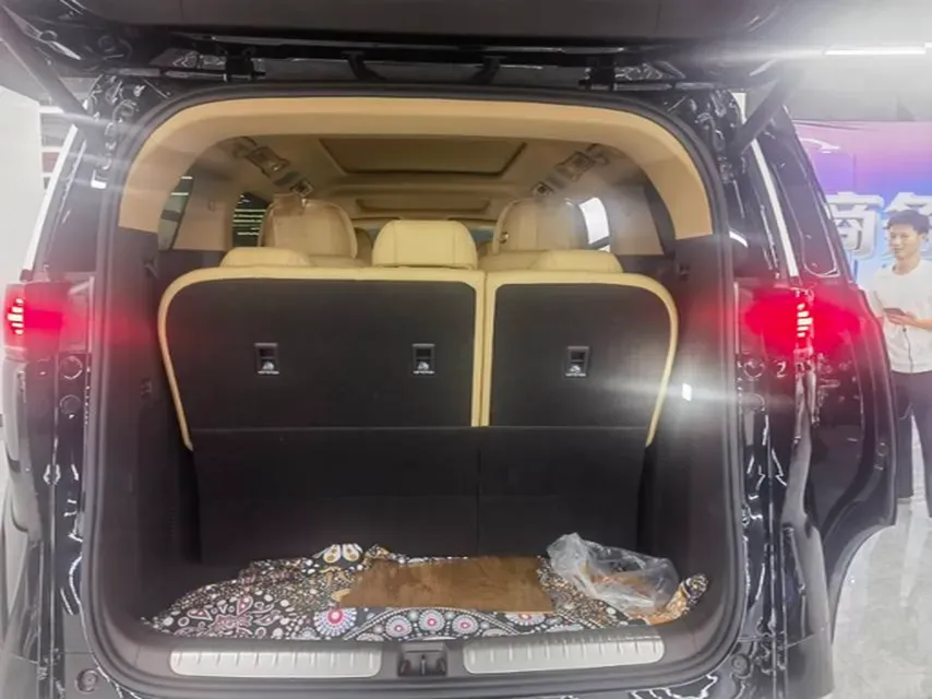 2025 Denza D9 1.5T 156HP L4 E-CVT PHEV 40KWH,autocango,china used car exporter,china ev exporter,chinese used car exporter,chinese used ev exporter