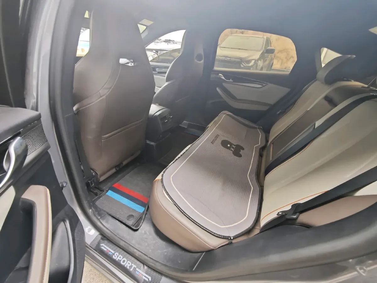 2023 BYD Qin Plus BEV 48KWH,autocango,china used car exporter,china ev exporter,chinese used car exporter,chinese used ev exporter