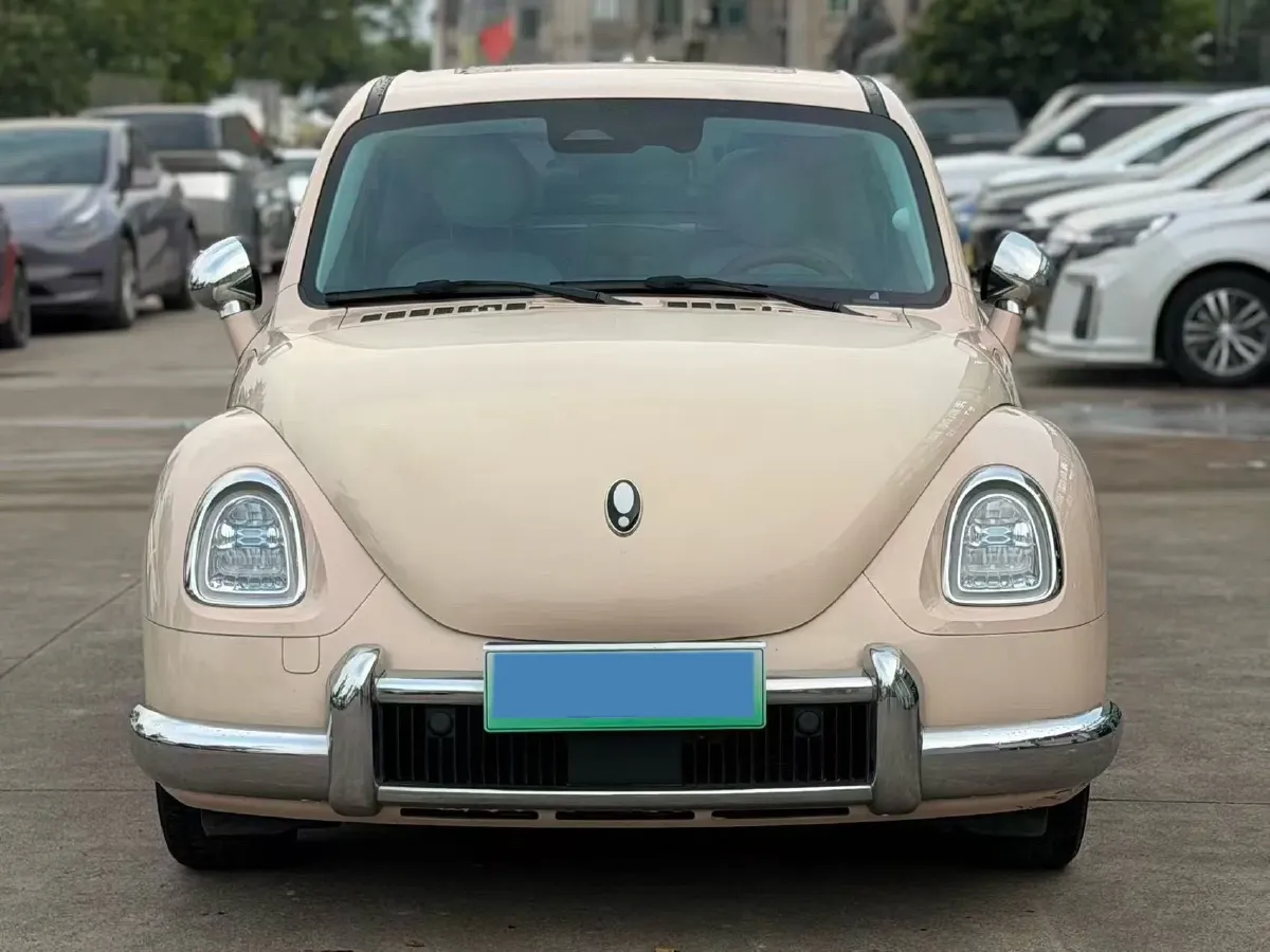 2022 Ora BalletCat BEV 49.92KWH,autocango,china used car exporter,china ev exporter,chinese used car exporter,chinese used ev exporter