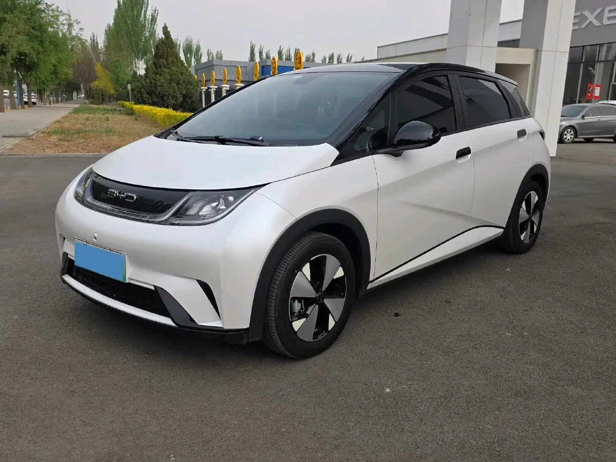 2023 BYD Dolphin BEV 44.928KWH,autocango,china used car exporter,china ev exporter,chinese used car exporter,chinese used ev exporter