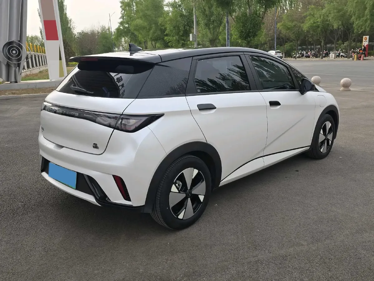 2023 BYD Dolphin BEV 44.928KWH,autocango,china used car exporter,china ev exporter,chinese used car exporter,chinese used ev exporter