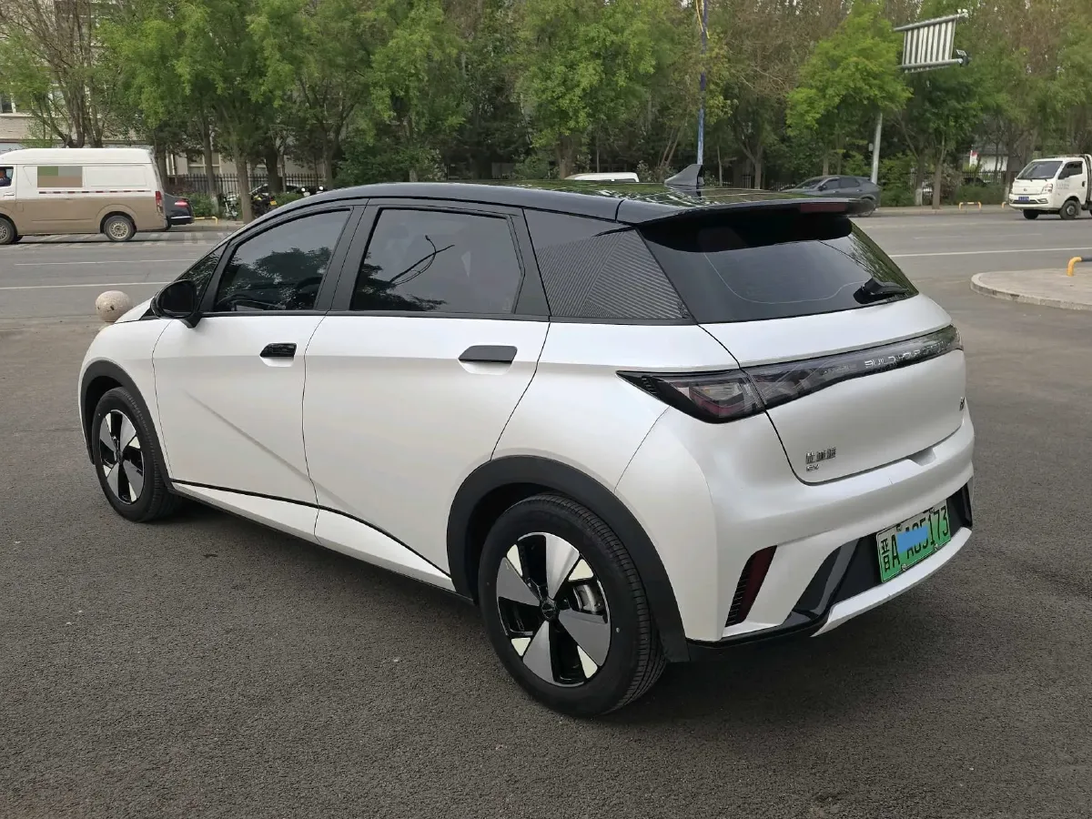 2023 BYD Dolphin BEV 44.928KWH,autocango,china used car exporter,china ev exporter,chinese used car exporter,chinese used ev exporter