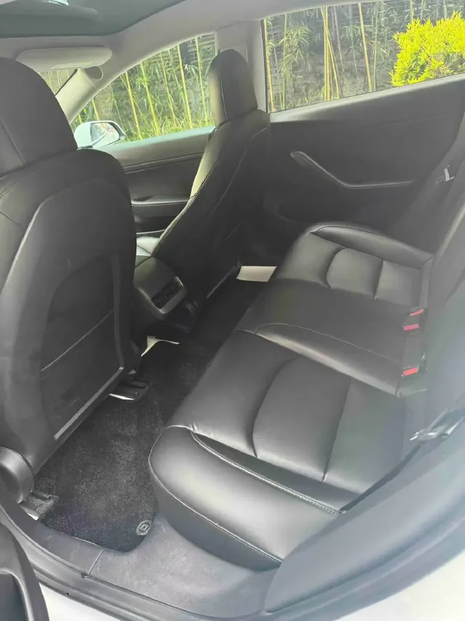 2020 Tesla Model 3 BEV 52KWH,autocango,china used car exporter,china ev exporter,chinese used car exporter,chinese used ev exporter