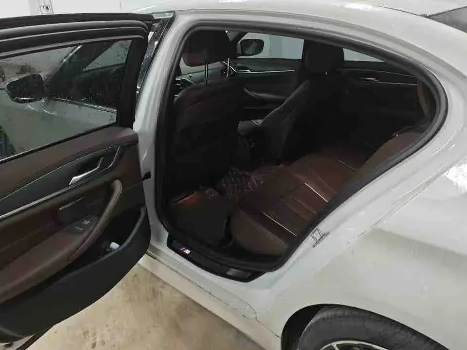 2021 BMW 5 Series 2.0T 252HP L4 8AT,autocango,china used car exporter,china ev exporter,chinese used car exporter,chinese used ev exporter