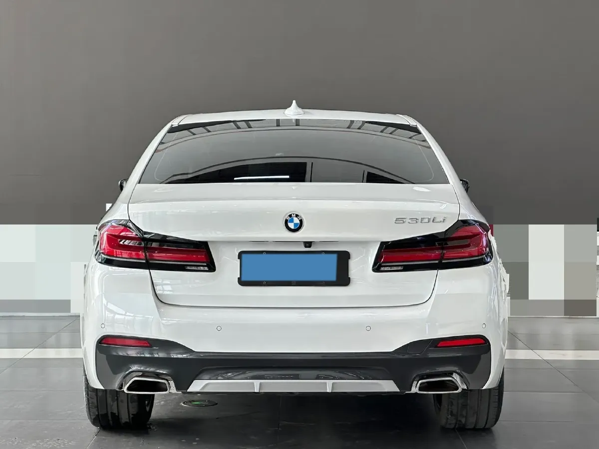 2021 BMW 5 Series 2.0T 252HP L4 8AT,autocango,china used car exporter,china ev exporter,chinese used car exporter,chinese used ev exporter
