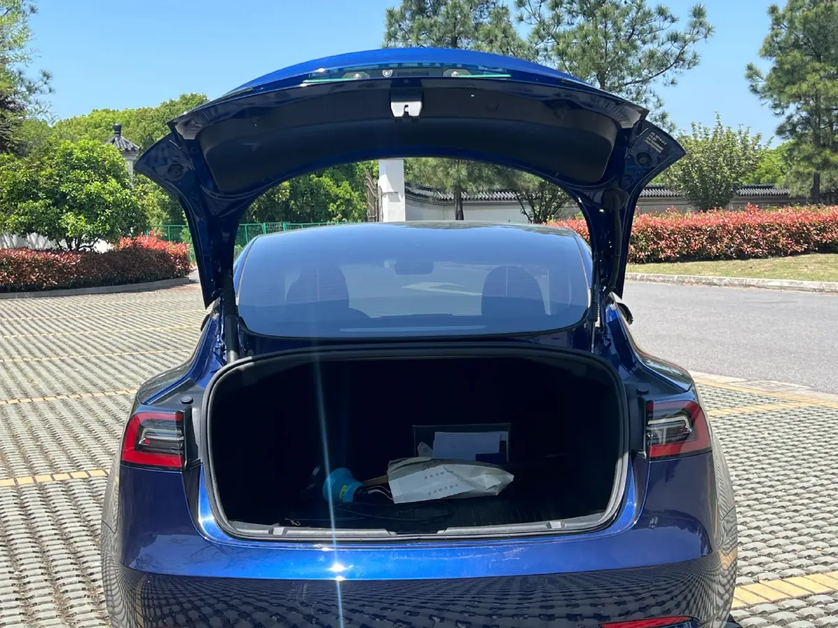2022 Tesla Model 3 BEV 60KWH,autocango,china used car exporter,china ev exporter,chinese used car exporter,chinese used ev exporter