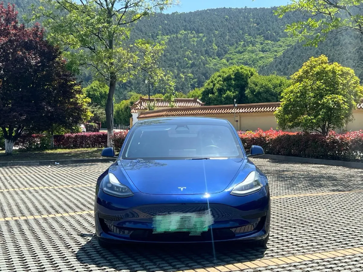 2022 Tesla Model 3 BEV 60KWH,autocango,china used car exporter,china ev exporter,chinese used car exporter,chinese used ev exporter