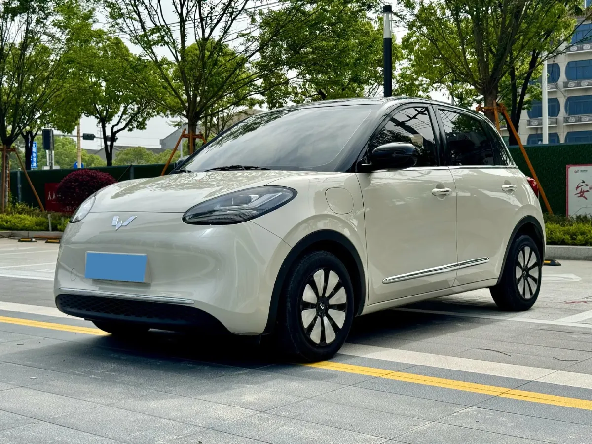 2024 WuLing BinGuo BEV 31.9KWH,autocango,china used car exporter,china ev exporter,chinese used car exporter,chinese used ev exporter