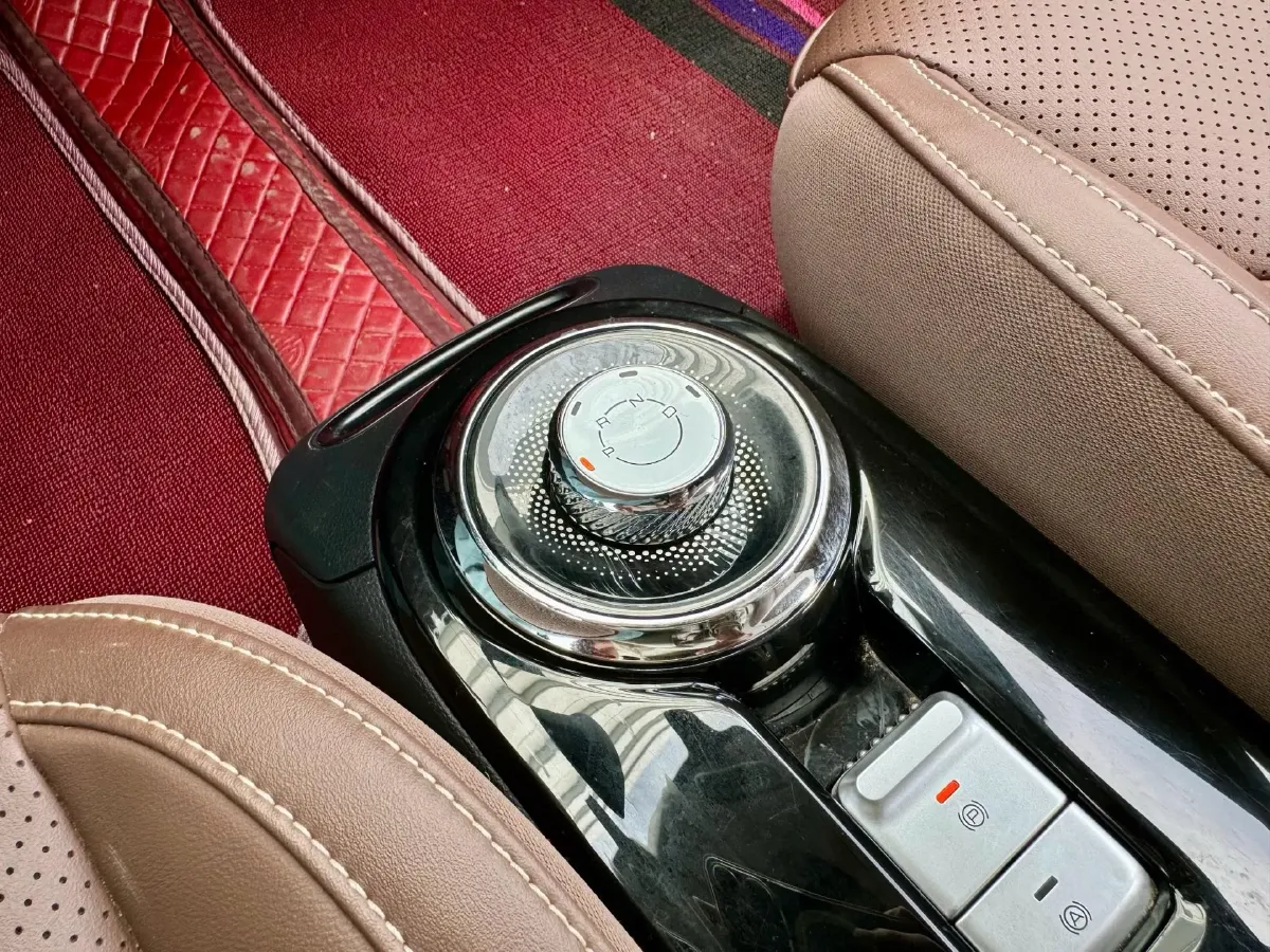 2024 WuLing BinGuo BEV 31.9KWH,autocango,china used car exporter,china ev exporter,chinese used car exporter,chinese used ev exporter