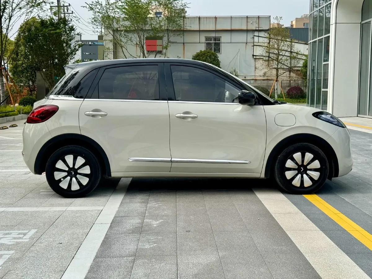 2024 WuLing BinGuo BEV 31.9KWH,autocango,china used car exporter,china ev exporter,chinese used car exporter,chinese used ev exporter