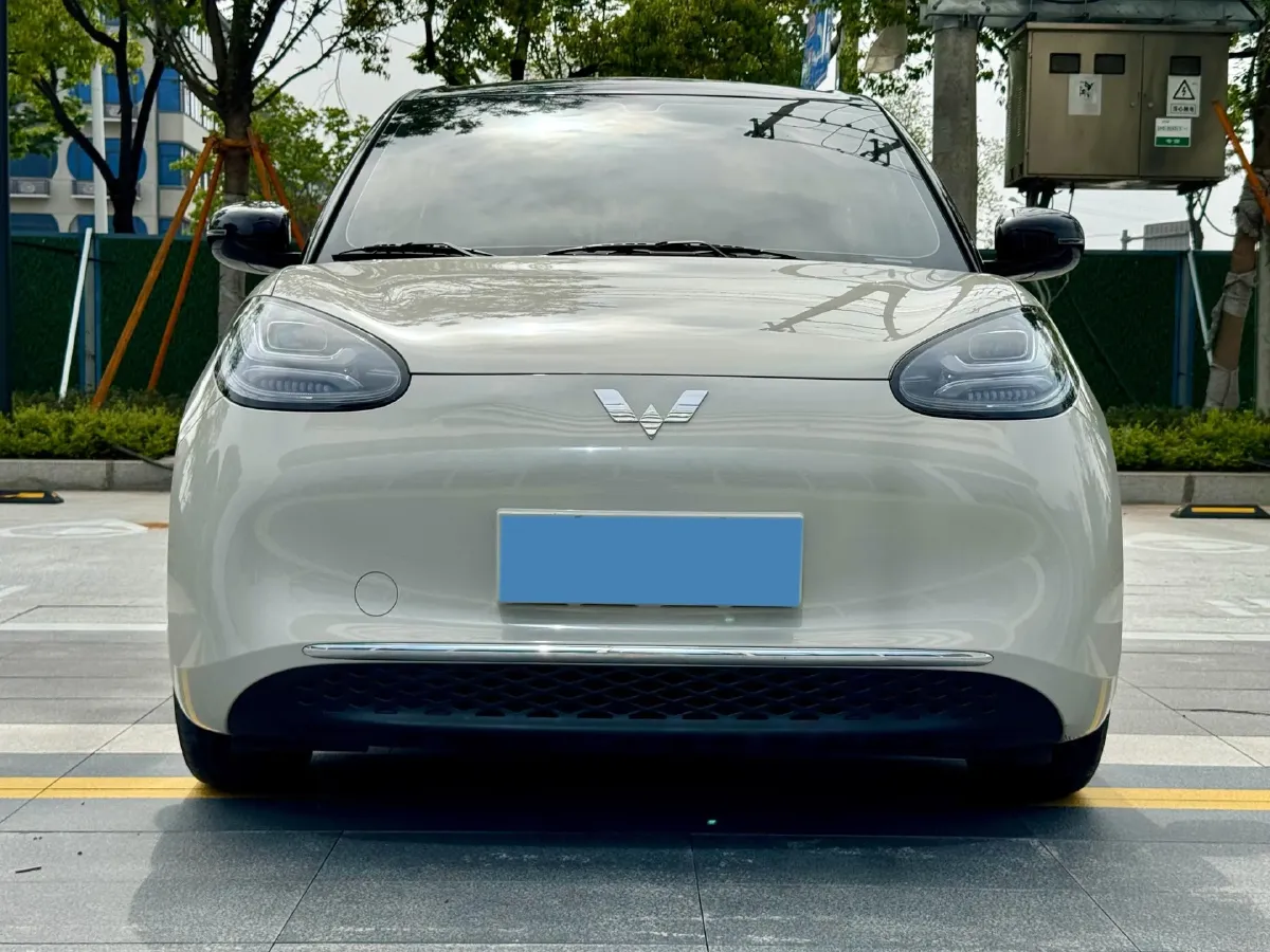 2024 WuLing BinGuo BEV 31.9KWH,autocango,china used car exporter,china ev exporter,chinese used car exporter,chinese used ev exporter