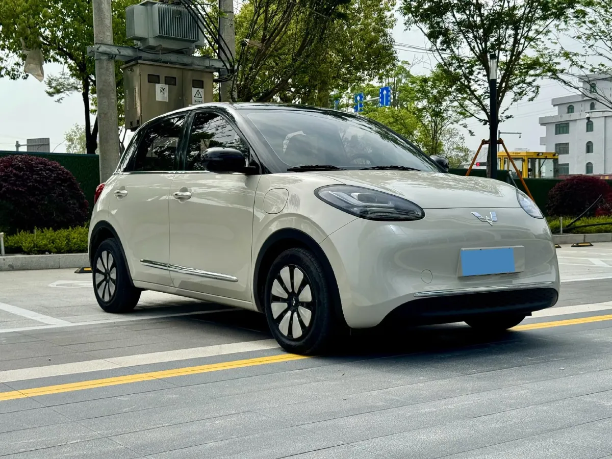 2024 WuLing BinGuo BEV 31.9KWH,autocango,china used car exporter,china ev exporter,chinese used car exporter,chinese used ev exporter