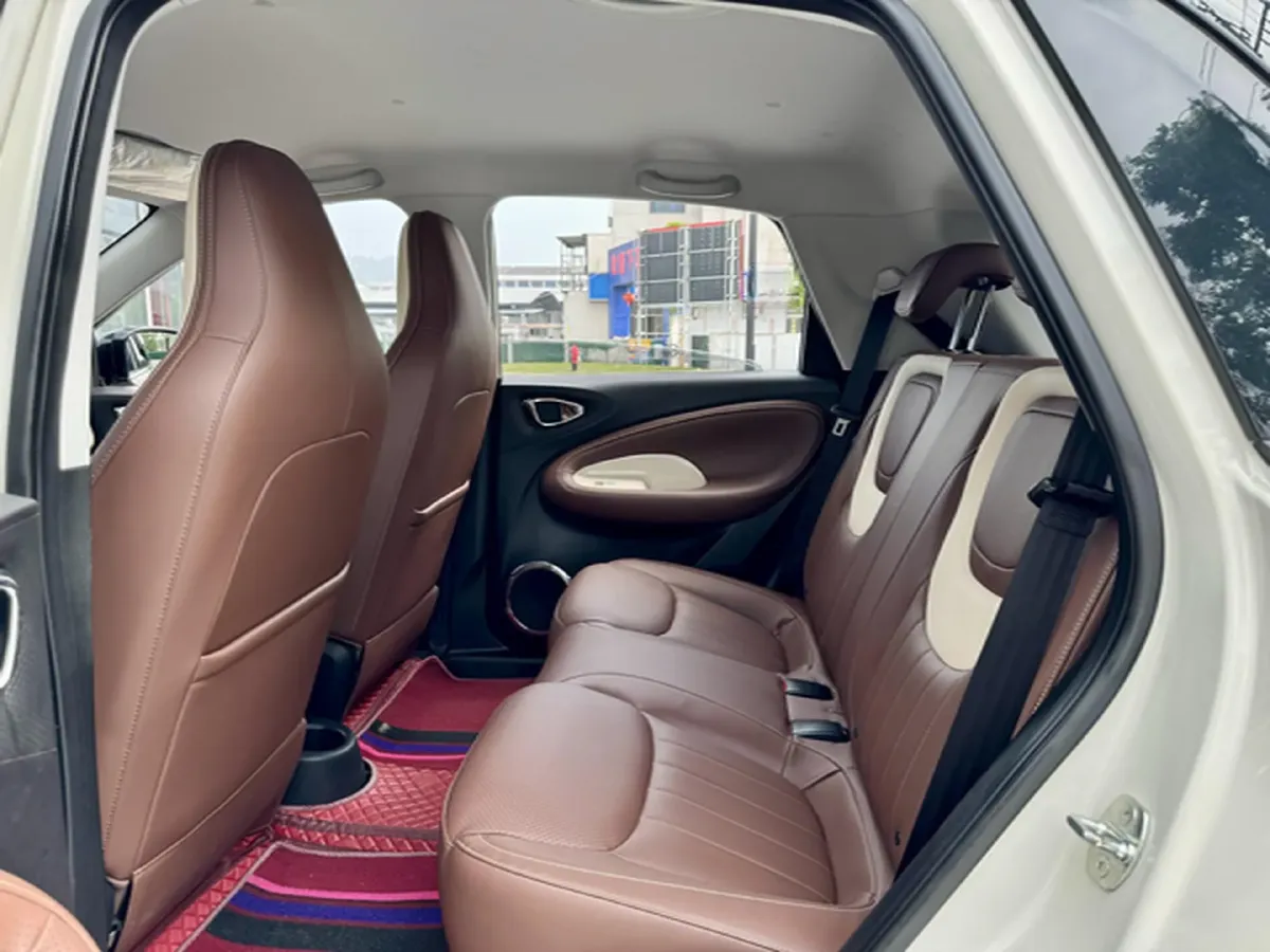 2024 WuLing BinGuo BEV 31.9KWH,autocango,china used car exporter,china ev exporter,chinese used car exporter,chinese used ev exporter