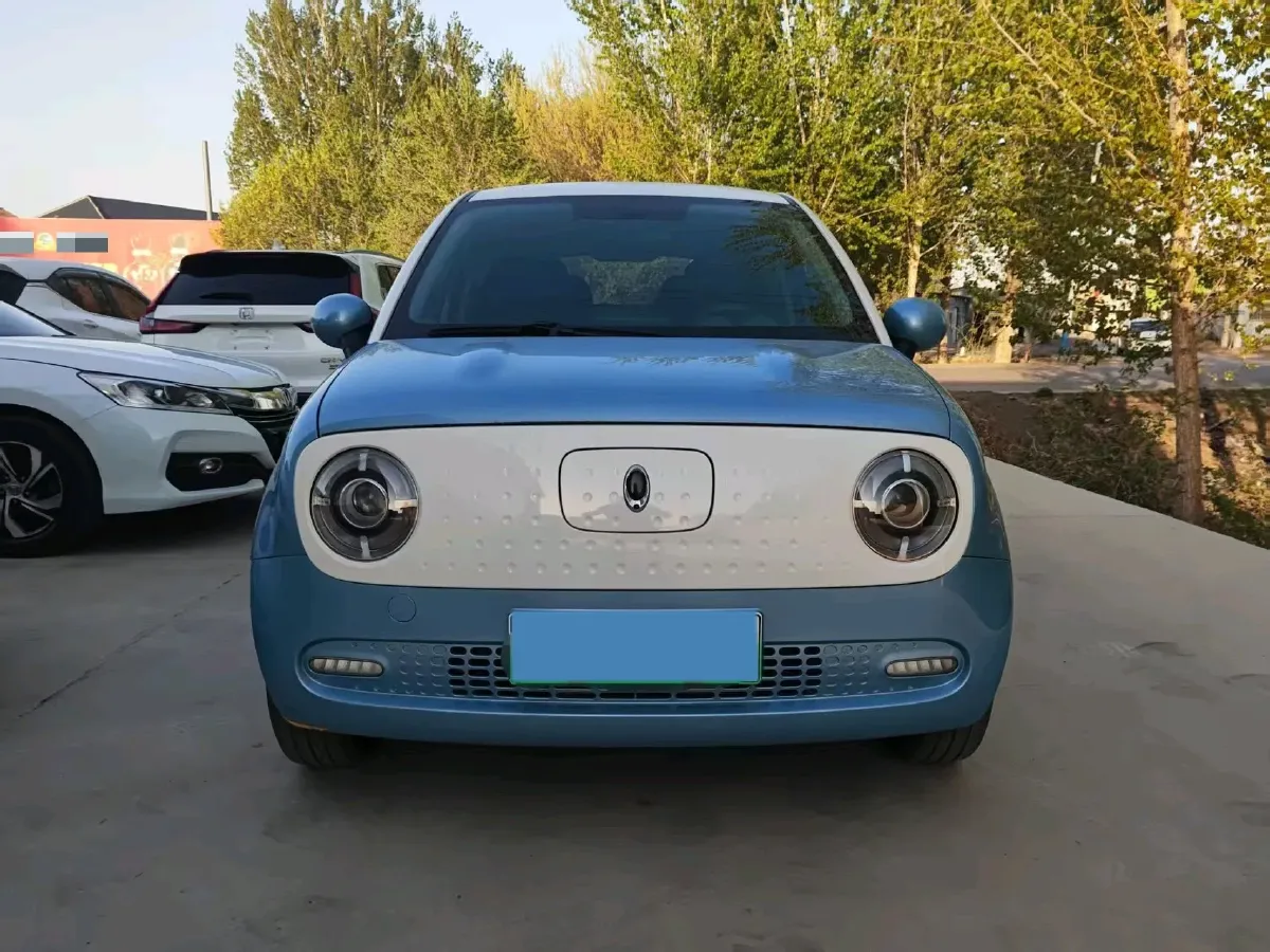 2021 Ora BlackCat BEV 33KWH,autocango,china used car exporter,china ev exporter,chinese used car exporter,chinese used ev exporter