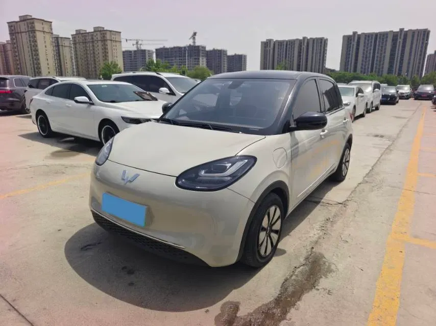 2023 WuLing BinGuo BEV 37.9KWH,autocango,china used car exporter,china ev exporter,chinese used car exporter,chinese used ev exporter