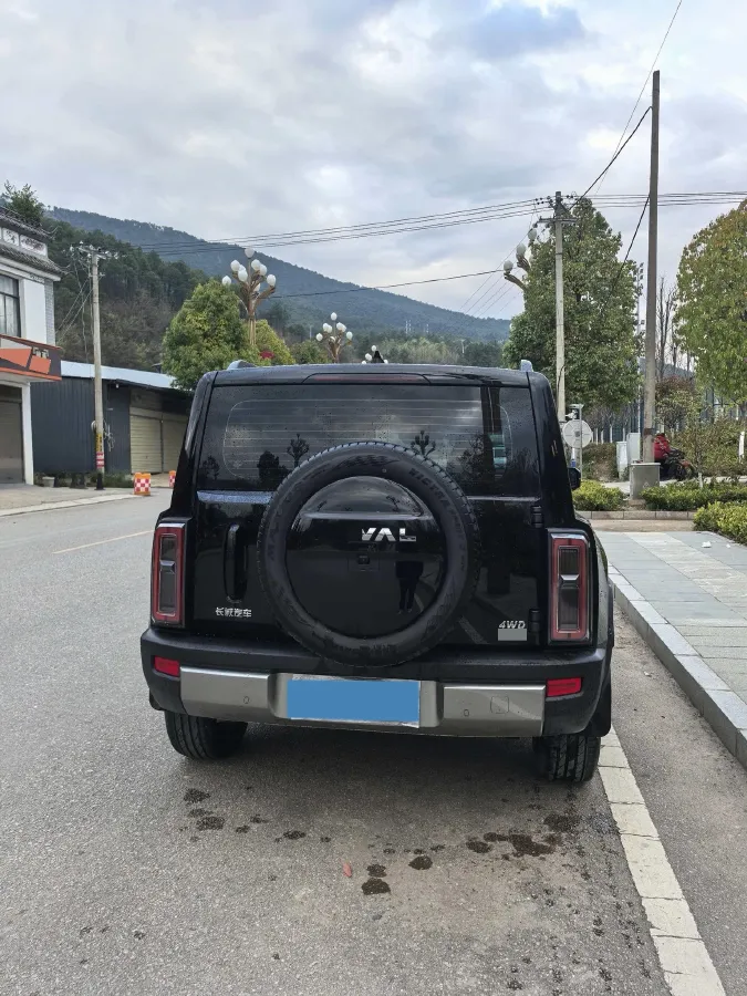 2025 Haval Raptor 2.0T 238HP L4 9DCT,autocango,china used car exporter,china ev exporter,chinese used car exporter,chinese used ev exporter