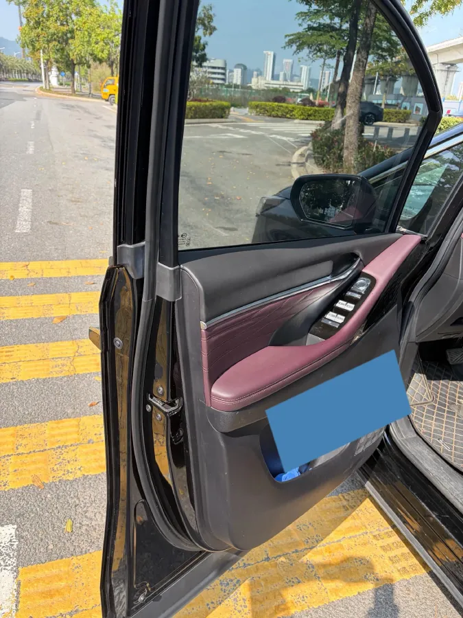 2024 GAC Trumpchi M8 2.0T 252HP L4 8AT,autocango,china used car exporter,china ev exporter,chinese used car exporter,chinese used ev exporter