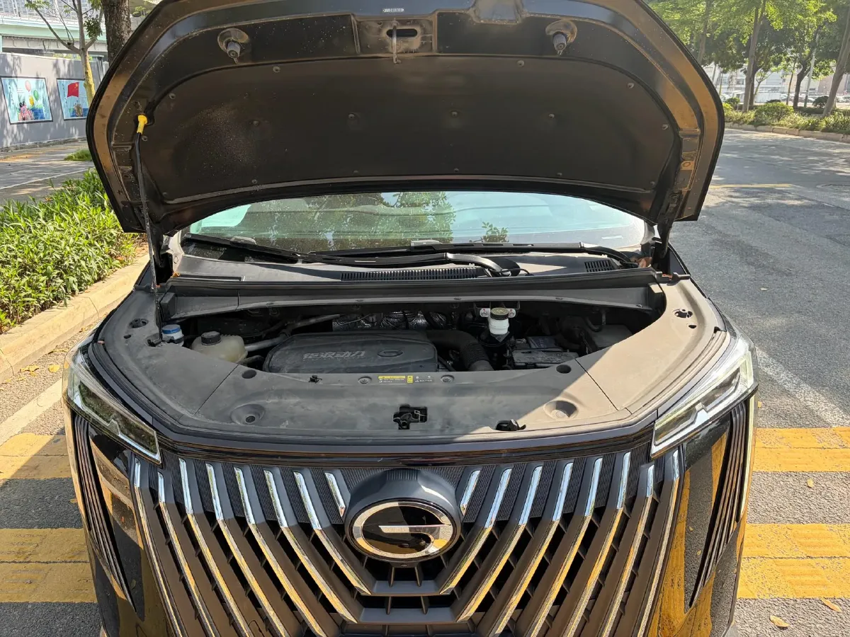 2024 GAC Trumpchi M8 2.0T 252HP L4 8AT,autocango,china used car exporter,china ev exporter,chinese used car exporter,chinese used ev exporter