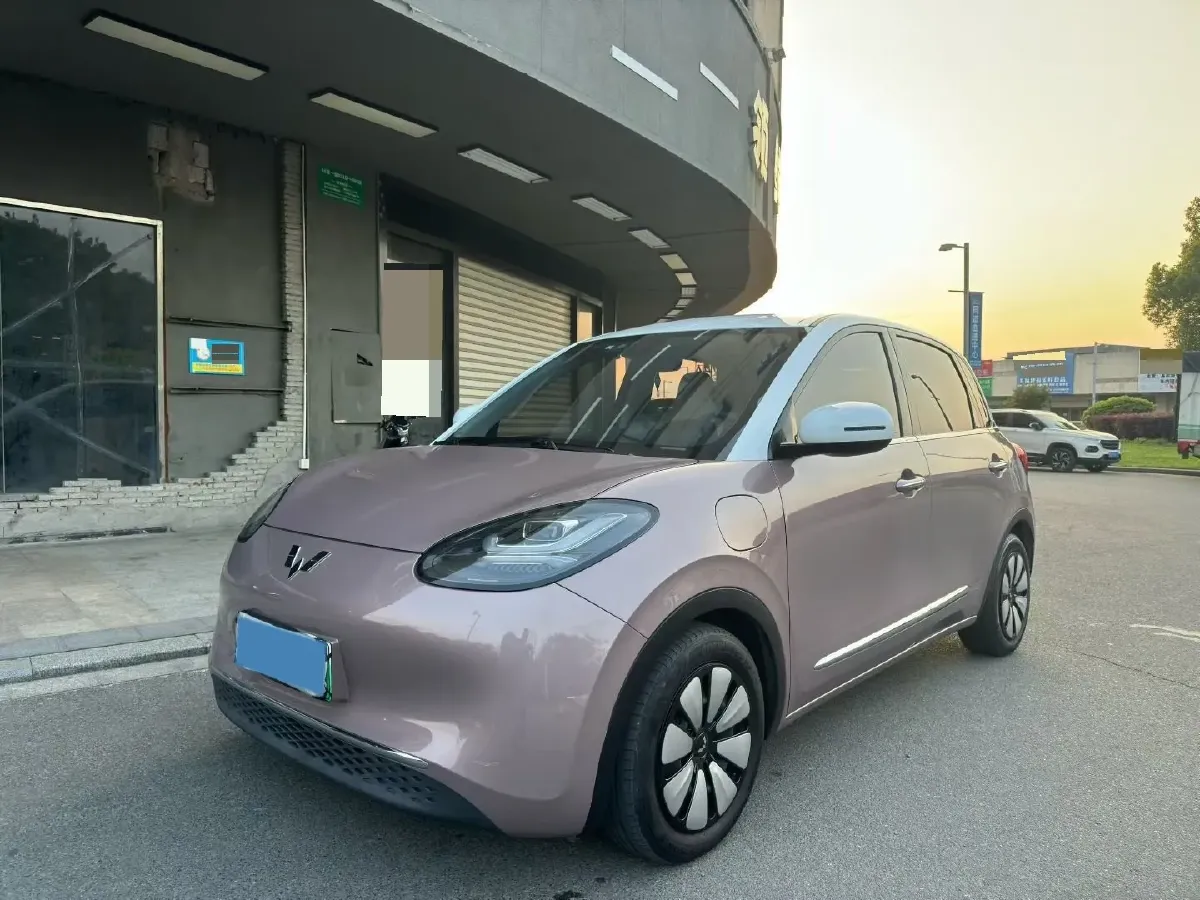 2023 WuLing BinGuo BEV 31.9KWH,autocango,china used car exporter,china ev exporter,chinese used car exporter,chinese used ev exporter