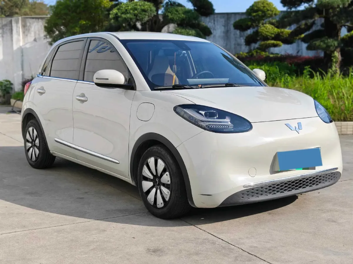 2023 WuLing BinGuo BEV 31.9KWH,autocango,china used car exporter,china ev exporter,chinese used car exporter,chinese used ev exporter