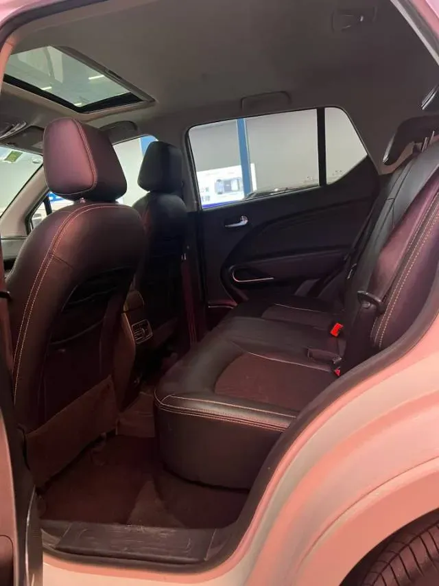 2019 GAC QiZhi EV BEV 54.75KWH,autocango,china used car exporter,china ev exporter,chinese used car exporter,chinese used ev exporter