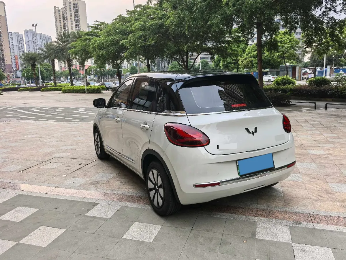 2023 WuLing BinGuo BEV 31.9KWH,autocango,china used car exporter,china ev exporter,chinese used car exporter,chinese used ev exporter