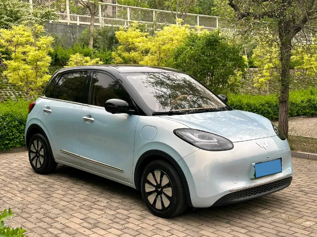 2025 WuLing BinGuo BEV,autocango,china used car exporter,china ev exporter,chinese used car exporter,chinese used ev exporter