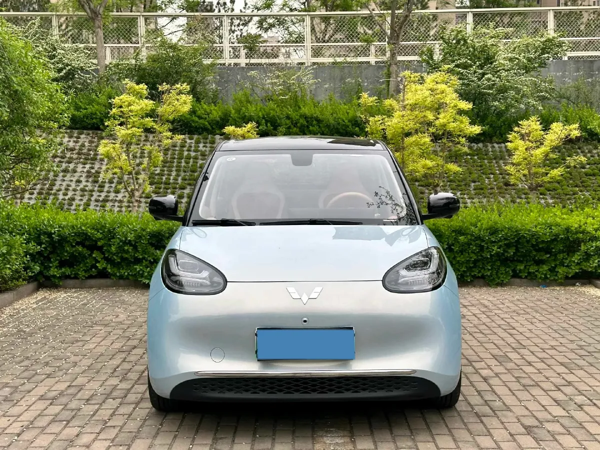 2025 WuLing BinGuo BEV,autocango,china used car exporter,china ev exporter,chinese used car exporter,chinese used ev exporter