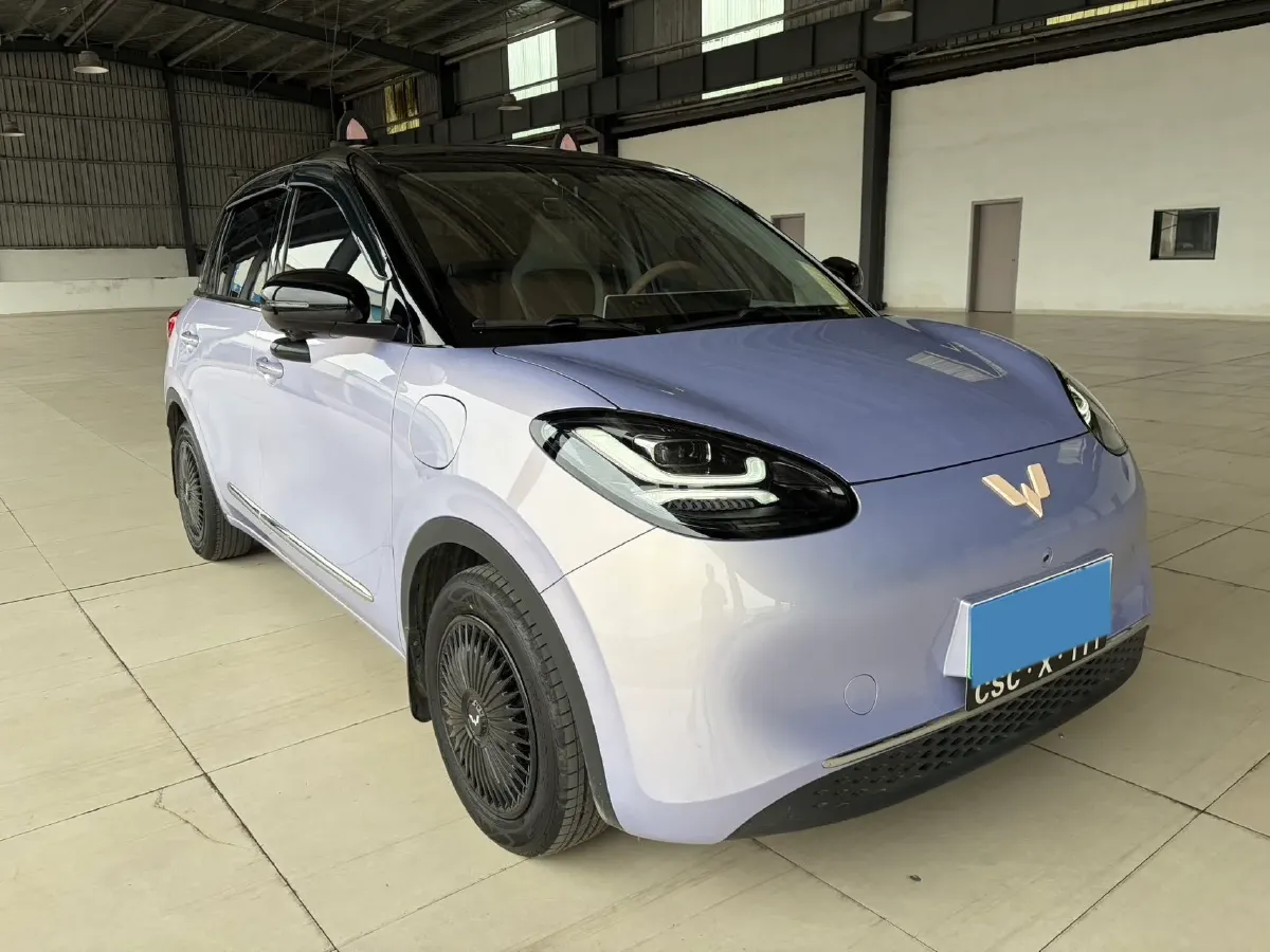 2025 WuLing BinGuo BEV,autocango,china used car exporter,china ev exporter,chinese used car exporter,chinese used ev exporter