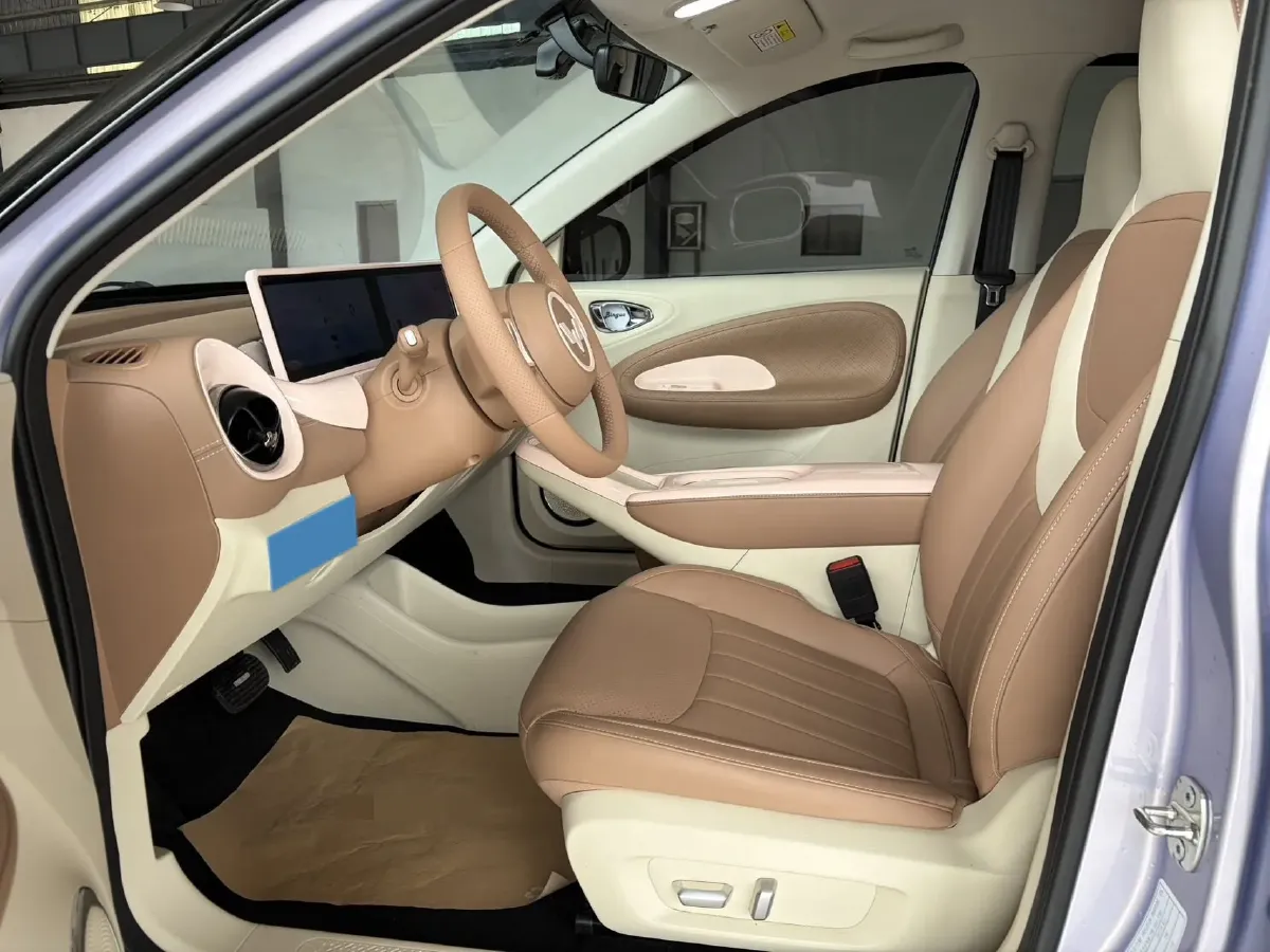 2025 WuLing BinGuo BEV,autocango,china used car exporter,china ev exporter,chinese used car exporter,chinese used ev exporter