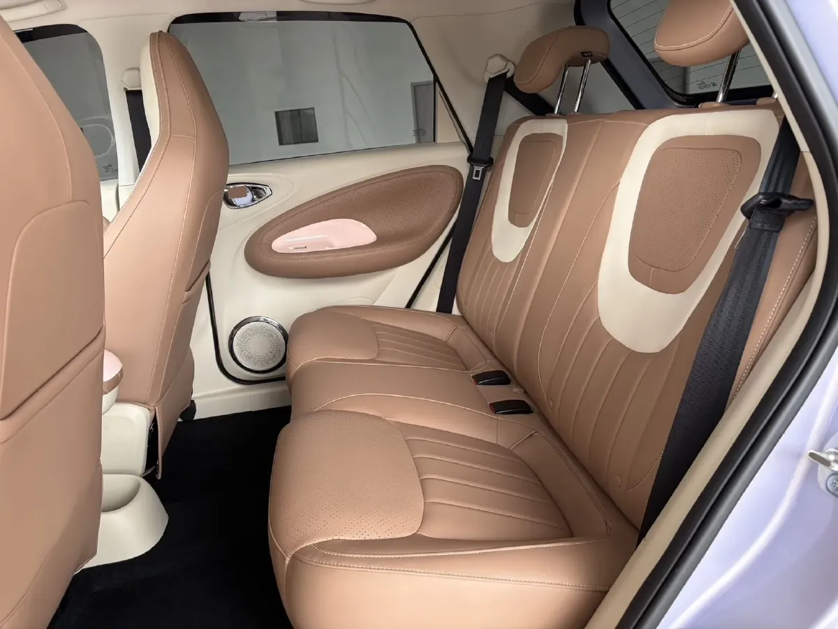 2025 WuLing BinGuo BEV,autocango,china used car exporter,china ev exporter,chinese used car exporter,chinese used ev exporter