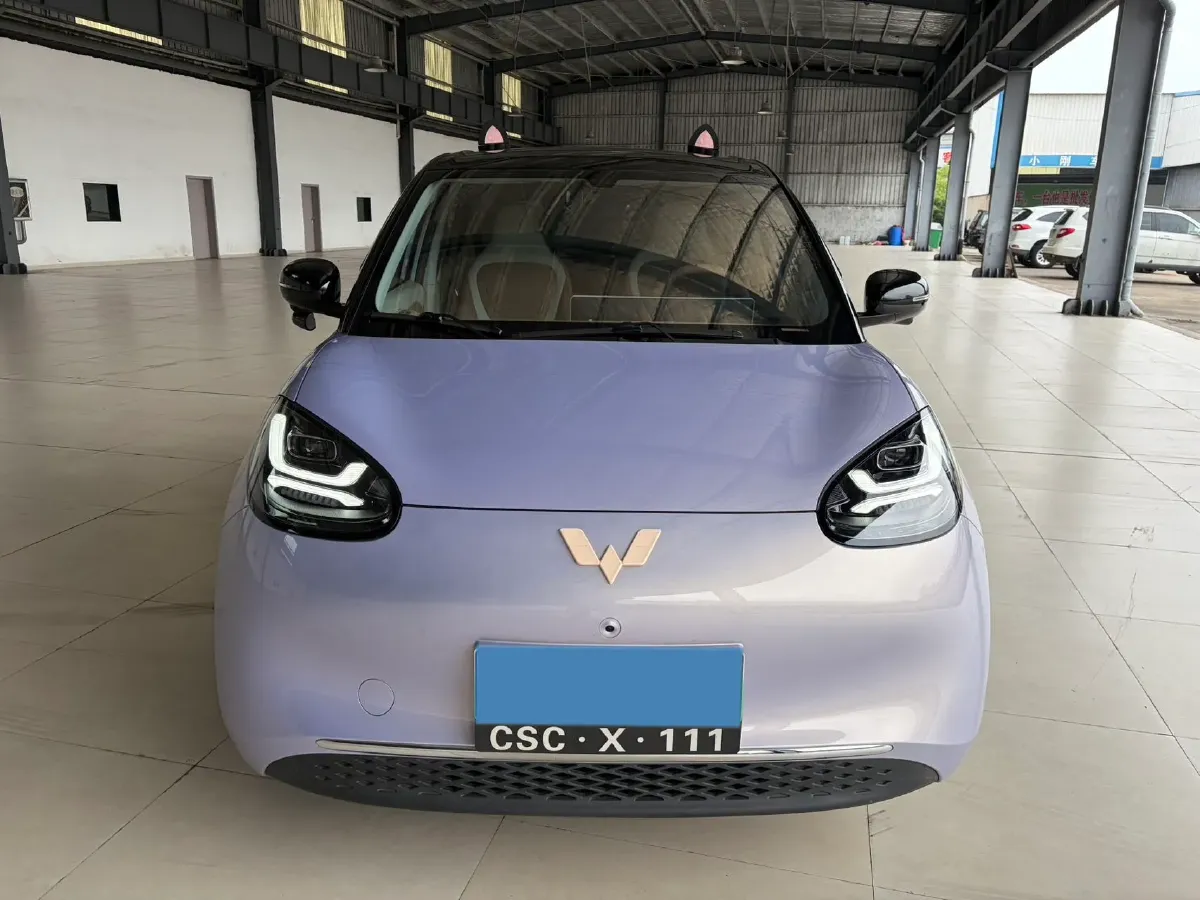 2025 WuLing BinGuo BEV,autocango,china used car exporter,china ev exporter,chinese used car exporter,chinese used ev exporter