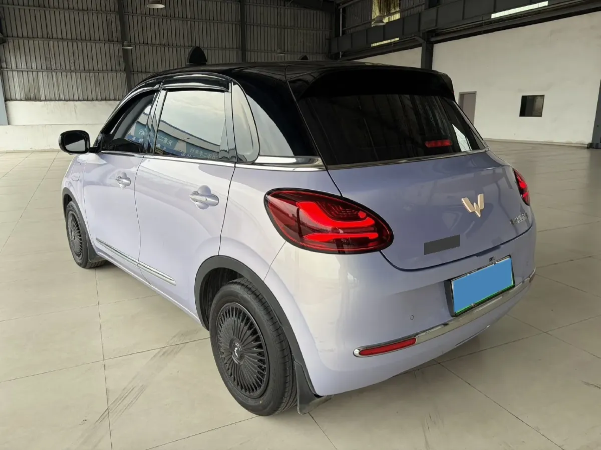 2025 WuLing BinGuo BEV,autocango,china used car exporter,china ev exporter,chinese used car exporter,chinese used ev exporter