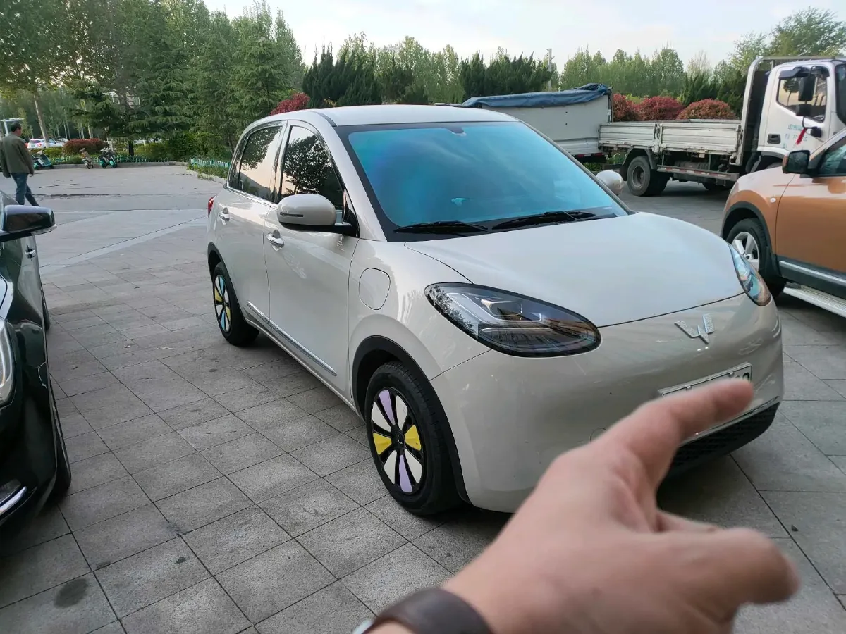 2025 WuLing BinGuo BEV,autocango,china used car exporter,china ev exporter,chinese used car exporter,chinese used ev exporter