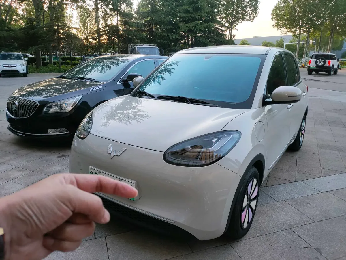 2025 WuLing BinGuo BEV,autocango,china used car exporter,china ev exporter,chinese used car exporter,chinese used ev exporter