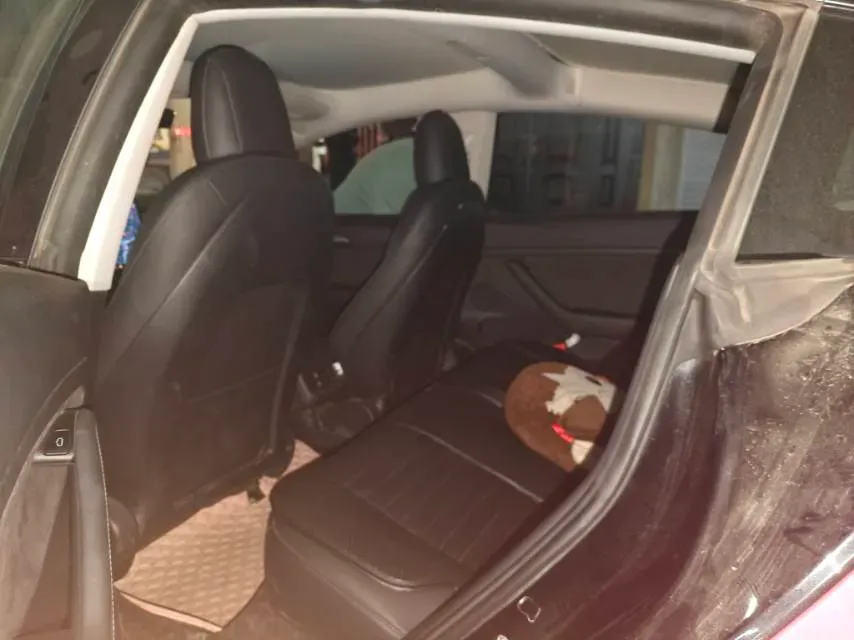 2021 Tesla Model 3 BEV 55KWH,autocango,china used car exporter,china ev exporter,chinese used car exporter,chinese used ev exporter