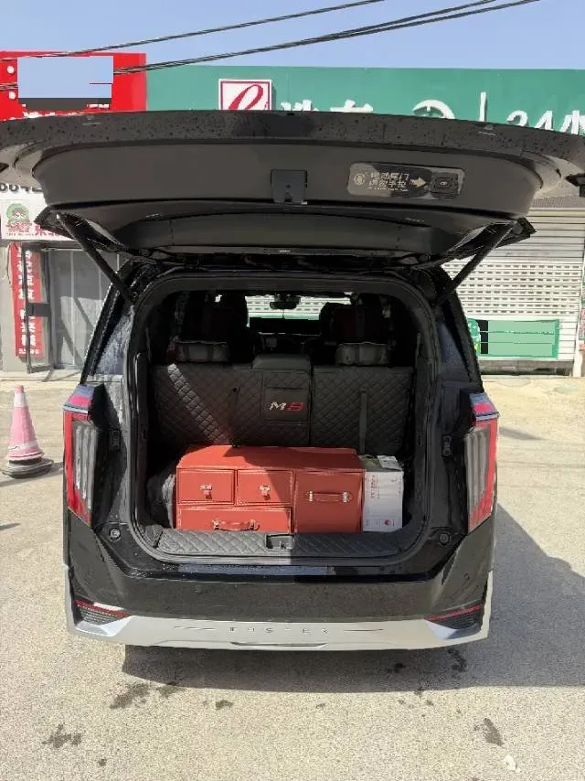 2024 GAC Trumpchi M8 2.0T 252HP L4 8AT,autocango,china used car exporter,china ev exporter,chinese used car exporter,chinese used ev exporter