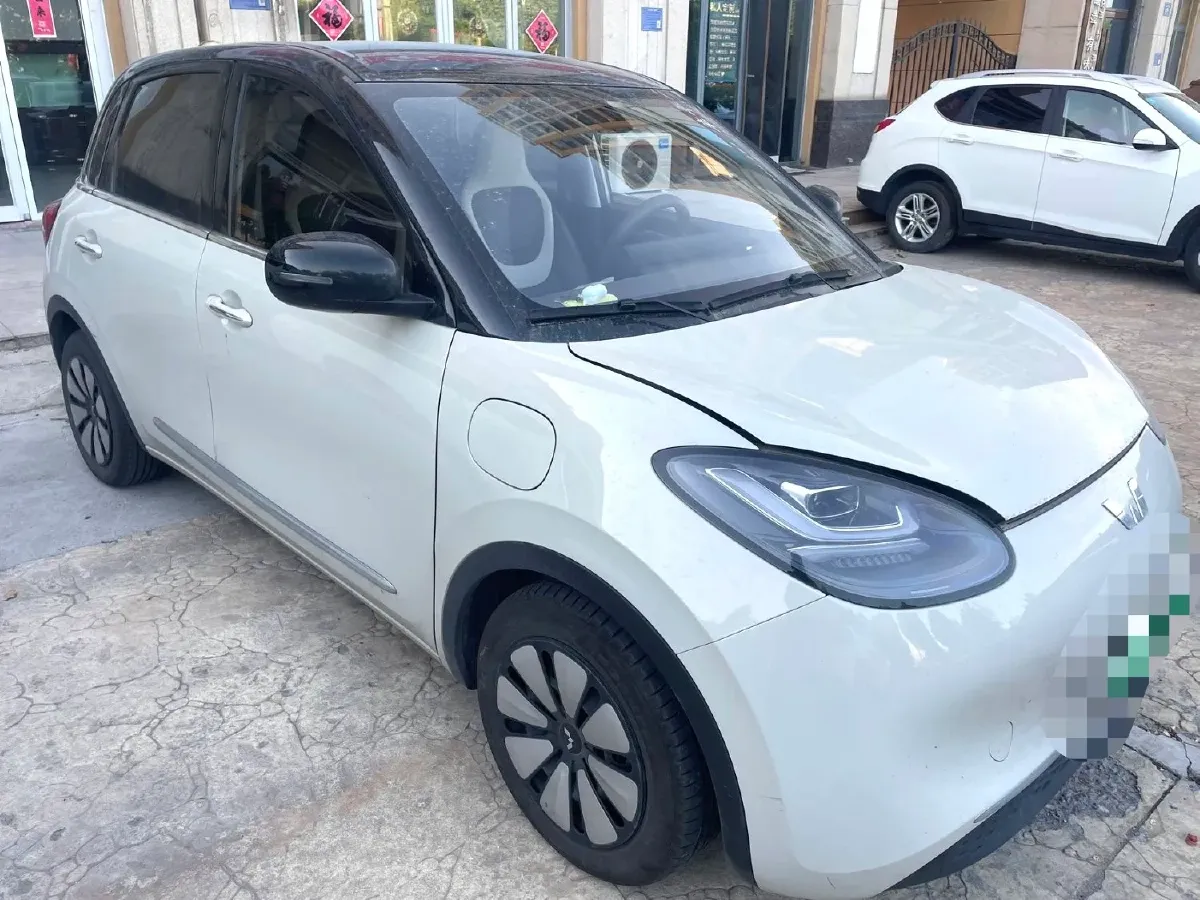 2023 WuLing BinGuo BEV 37.9KWH,autocango,china used car exporter,china ev exporter,chinese used car exporter,chinese used ev exporter
