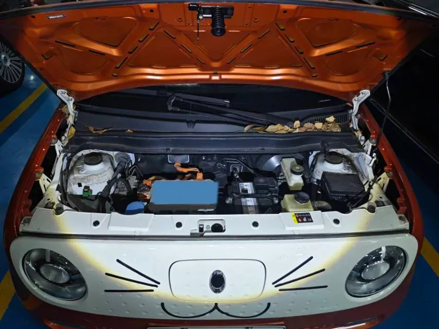 2019 Ora BlackCat BEV 33KWH,autocango,china used car exporter,china ev exporter,chinese used car exporter,chinese used ev exporter