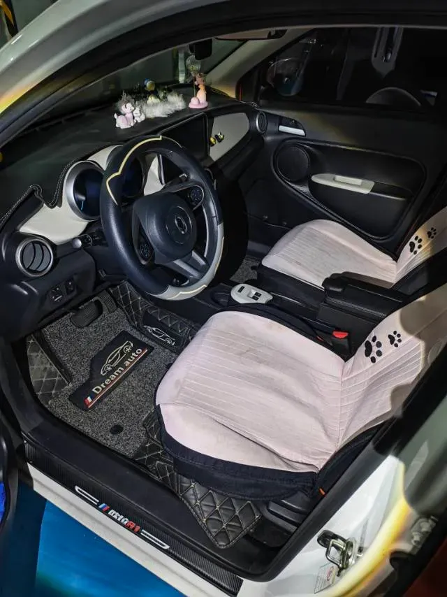 2019 Ora BlackCat BEV 33KWH,autocango,china used car exporter,china ev exporter,chinese used car exporter,chinese used ev exporter