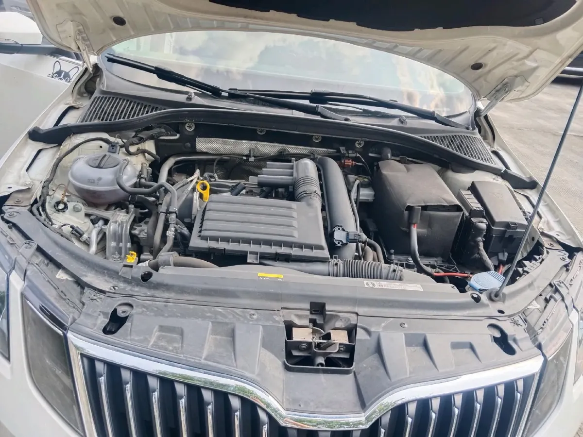 2019 Skoda Octavia 1.2T 116HP L4 7DCT,autocango,china used car exporter,china ev exporter,chinese used car exporter,chinese used ev exporter